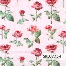 SERVILLETA ALEMANA SRL07754