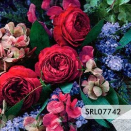 SERVILLETA ALEMANA SRL07742