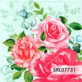 SERVILLETA ALEMANA SRL07731