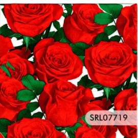 SERVILLETA ALEMANA SRL07719