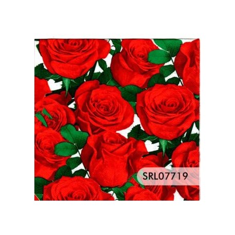 SERVILLETA ALEMANA SRL07719