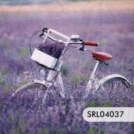 SERVILLETA ALEMANA SRL04037