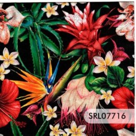 SERVILLETA ALEMANA SRL07716