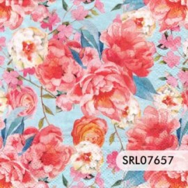 SERVILLETA ALEMANA SRL07657