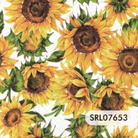 SERVILLETA ALEMANA SRL07653