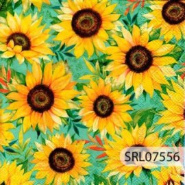 SERVILLETA ALEMANA SRL07556
