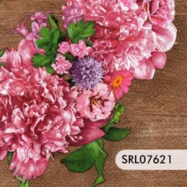 SERVILLETA ALEMANA SRL07621