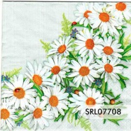 SERVILLETA ALEMANA SRL07708