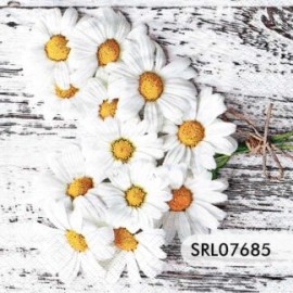 SERVILLETA ALEMANA SRL07685