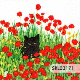 SERVILLETA ALEMANA SRL03171