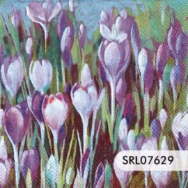SERVILLETA ALEMANA SRL07629