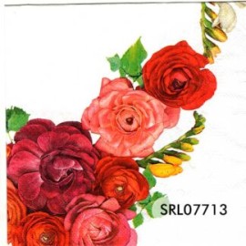 SERVILLETA ALEMANA SRL07713