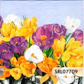 SERVILLETA ALEMANA SRL07709