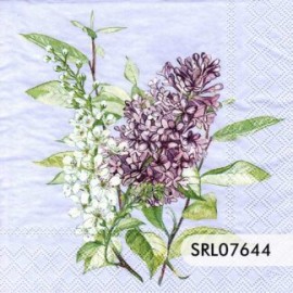SERVILLETA ALEMANA SRL07644