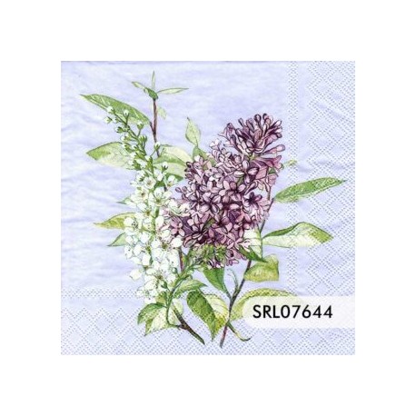 SERVILLETA ALEMANA SRL07644
