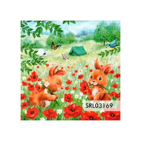 SERVILLETA ALEMANA SRL03169