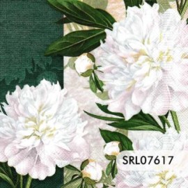 SERVILLETA ALEMANA SRL07617