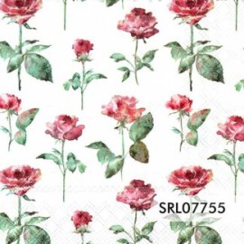 SERVILLETA ALEMANA SRL07755