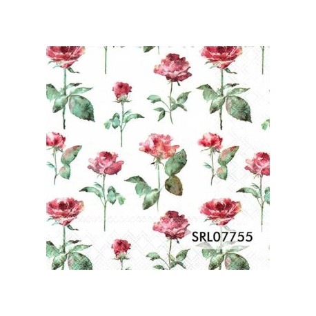 SERVILLETA ALEMANA SRL07755