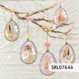 SERVILLETA ALEMANA SRL07646