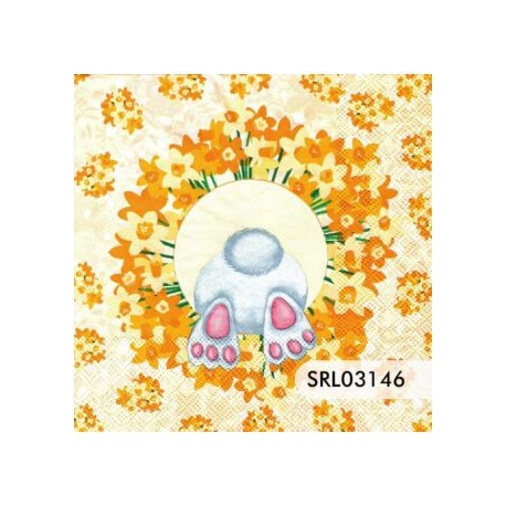 SERVILLETA ALEMANA SRL03146