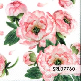 SERVILLETA ALEMANA SRL07760