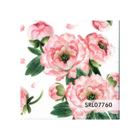 SERVILLETA ALEMANA SRL07760