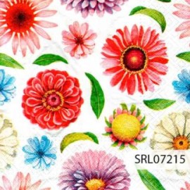 SERVILLETA ALEMANA SRL07215