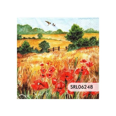 SERVILLETA ALEMANA SRL06248