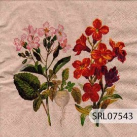 SERVILLETA ALEMANA SRL07543