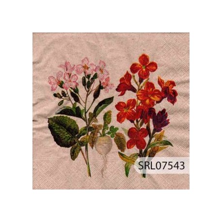 SERVILLETA ALEMANA SRL07543
