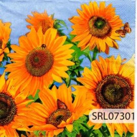 SERVILLETA ALEMANA SRL07301