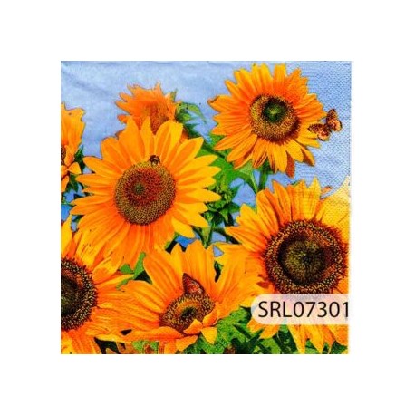 SERVILLETA ALEMANA SRL07301