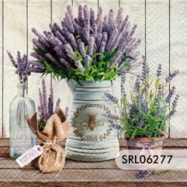SERVILLETA ALEMANA SRL06277