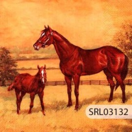 SERVILLETA ALEMANA SRL03132
