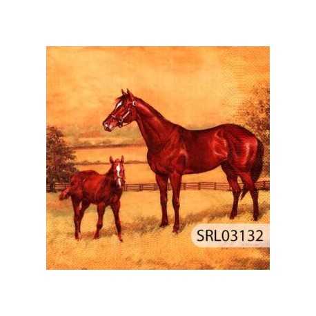 SERVILLETA ALEMANA SRL03132