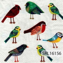 SERVILLETA ALEMANA SRL16156