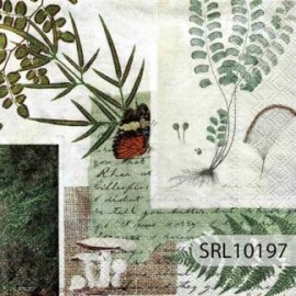 SERVILLETA ALEMANA SRL10197