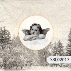 SERVILLETA ALEMANA SRL02017
