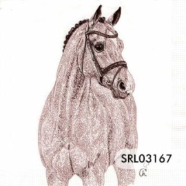 SERVILLETA ALEMANA SRL03167
