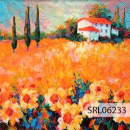SERVILLETA ALEMANA SRL06233