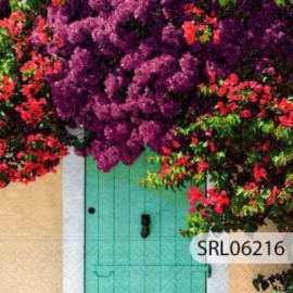 SERVILLETA ALEMANA SRL06216