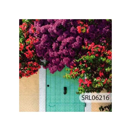 SERVILLETA ALEMANA SRL06216