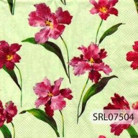 SERVILLETA ALEMANA SRL07504