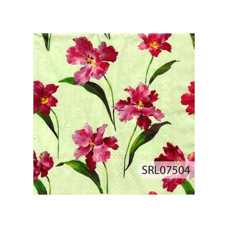 SERVILLETA ALEMANA SRL07504