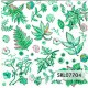 SERVILLETA ALEMANA SRL07704