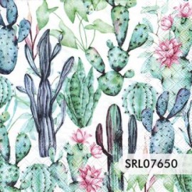 SERVILLETA ALEMANA SRL07650