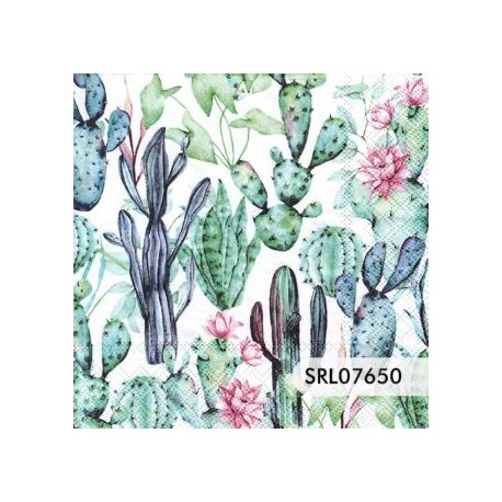 SERVILLETA ALEMANA SRL07650