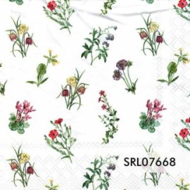 SERVILLETA ALEMANA SRL07668