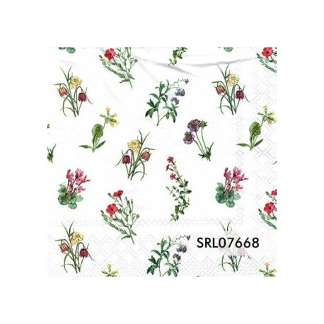 SERVILLETA ALEMANA SRL07668